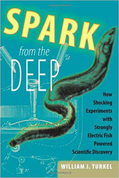 SPARK FROM THE DEEP
